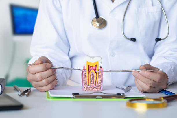 Best Emergency Root Canal Treatment in Rosemead, CA
